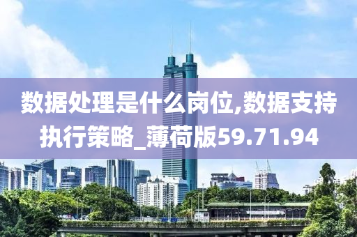 数据处理是什么岗位,数据支持执行策略_薄荷版59.71.94