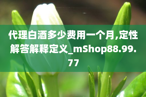 代理白酒多少费用一个月,定性解答解释定义_mShop88.99.77