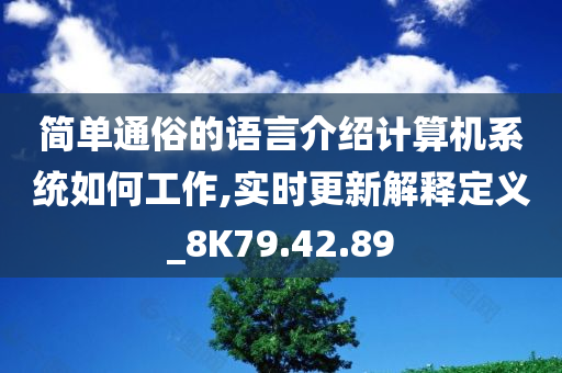 简单通俗的语言介绍计算机系统如何工作,实时更新解释定义_8K79.42.89