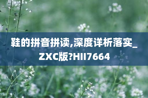 鞋的拼音拼读,深度详析落实_ZXC版?HII7664