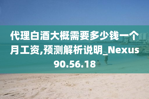 代理白酒大概需要多少钱一个月工资,预测解析说明_Nexus90.56.18