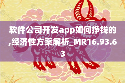 软件公司开发app如何挣钱的,经济性方案解析_MR16.93.63