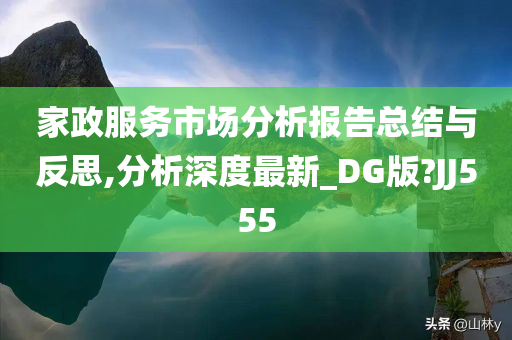 家政服务市场分析报告总结与反思,分析深度最新_DG版?JJ555