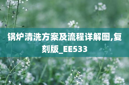 锅炉清洗方案及流程详解图,复刻版_EE533