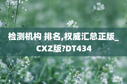 检测机构 排名,权威汇总正版_CXZ版?DT434