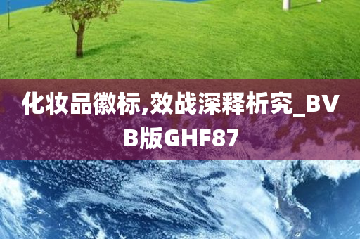 化妆品徽标,效战深释析究_BVB版GHF87