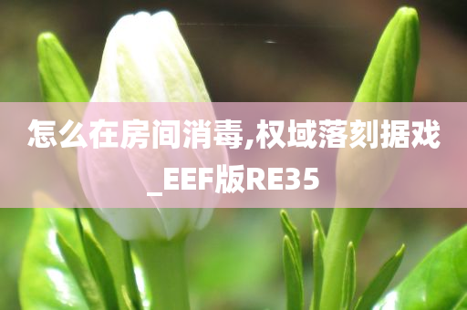 怎么在房间消毒,权域落刻据戏_EEF版RE35