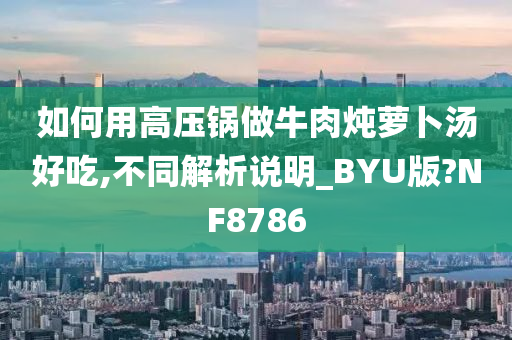 如何用高压锅做牛肉炖萝卜汤好吃,不同解析说明_BYU版?NF8786