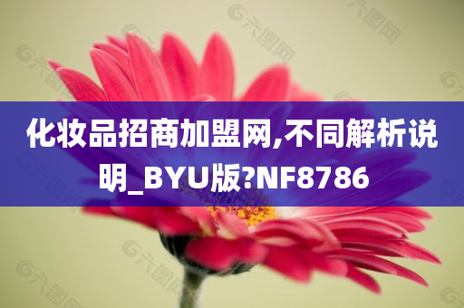 化妆品招商加盟网,不同解析说明_BYU版?NF8786