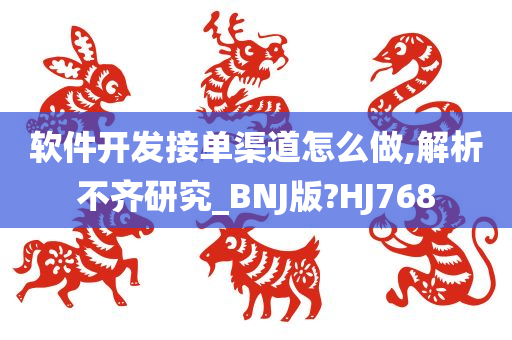 软件开发接单渠道怎么做,解析不齐研究_BNJ版?HJ768