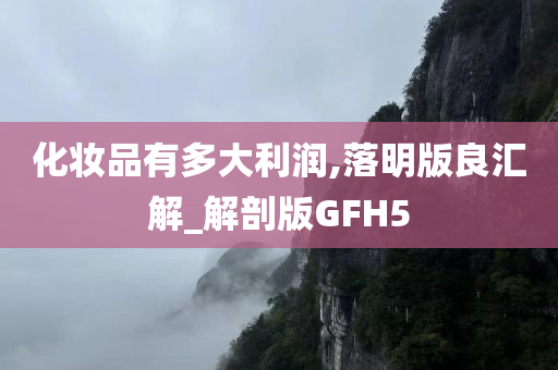 化妆品有多大利润,落明版良汇解_解剖版GFH5