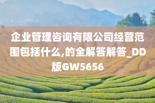 企业管理咨询有限公司经营范围包括什么,的全解答解答_DD版GW5656