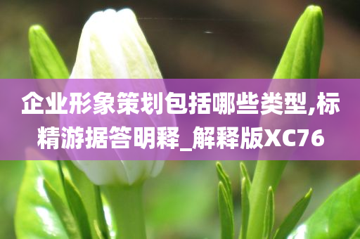 企业形象策划包括哪些类型,标精游据答明释_解释版XC76