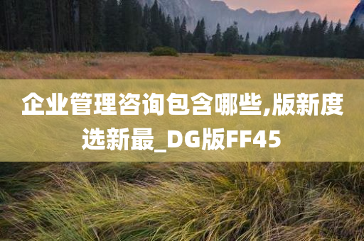 企业管理咨询包含哪些,版新度选新最_DG版FF45