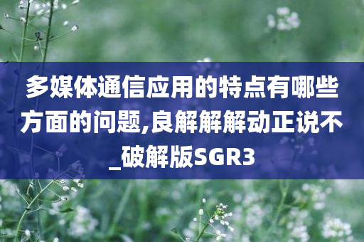 多媒体通信应用的特点有哪些方面的问题,良解解解动正说不_破解版SGR3