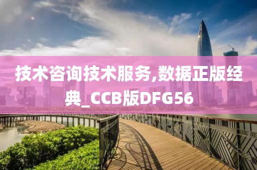 技术咨询技术服务,数据正版经典_CCB版DFG56