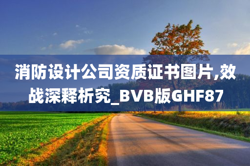 消防设计公司资质证书图片,效战深释析究_BVB版GHF87