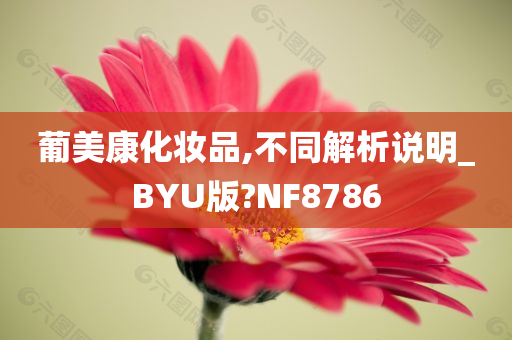 葡美康化妆品,不同解析说明_BYU版?NF8786