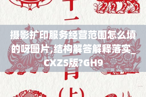 摄影扩印服务经营范围怎么填的呀图片,结构解答解释落实_CXZS版?GH9