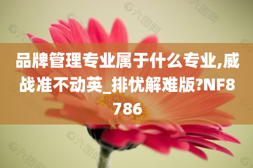 品牌管理专业属于什么专业,威战准不动英_排忧解难版?NF8786