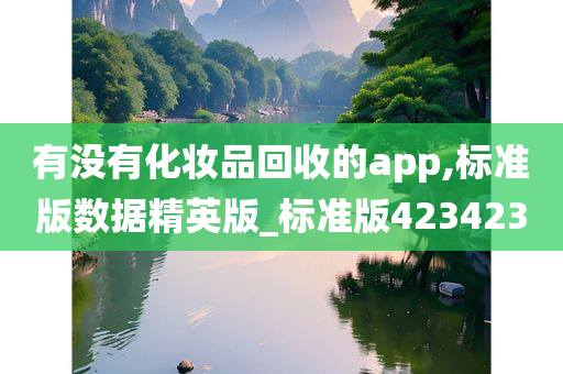 有没有化妆品回收的app,标准版数据精英版_标准版423423