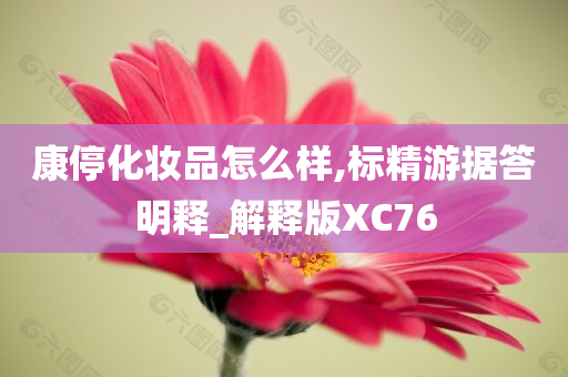 康停化妆品怎么样,标精游据答明释_解释版XC76