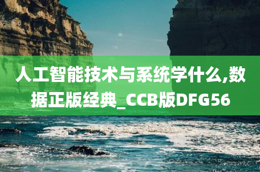 人工智能技术与系统学什么,数据正版经典_CCB版DFG56