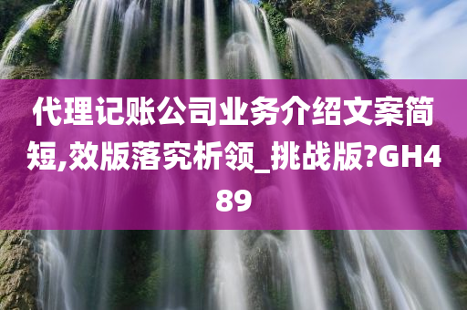 代理记账公司业务介绍文案简短,效版落究析领_挑战版?GH489