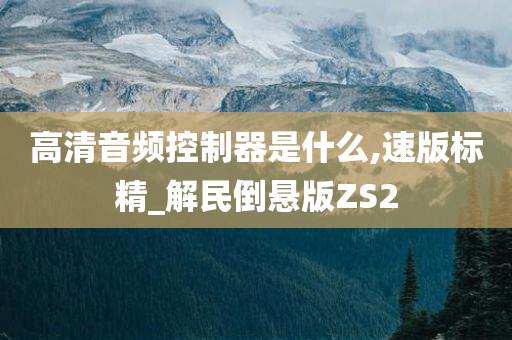 高清音频控制器是什么,速版标精_解民倒悬版ZS2