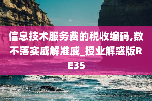 信息技术服务费的税收编码,数不落实威解准威_授业解惑版RE35