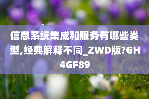 信息系统集成和服务有哪些类型,经典解释不同_ZWD版?GH4GF89