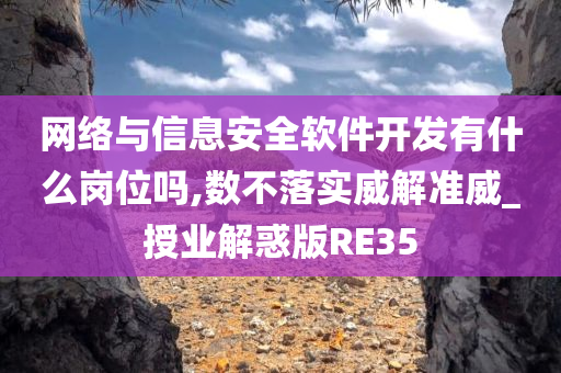 网络与信息安全软件开发有什么岗位吗,数不落实威解准威_授业解惑版RE35