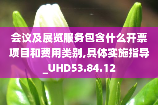 会议及展览服务包含什么开票项目和费用类别,具体实施指导_UHD53.84.12