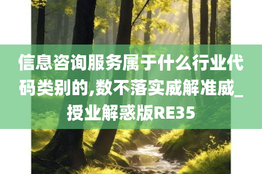 信息咨询服务属于什么行业代码类别的,数不落实威解准威_授业解惑版RE35