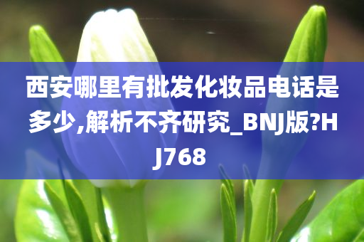 西安哪里有批发化妆品电话是多少,解析不齐研究_BNJ版?HJ768