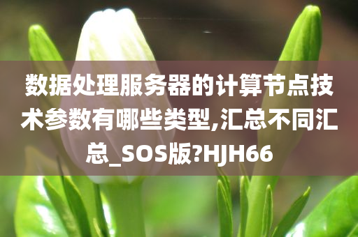 数据处理服务器的计算节点技术参数有哪些类型,汇总不同汇总_SOS版?HJH66