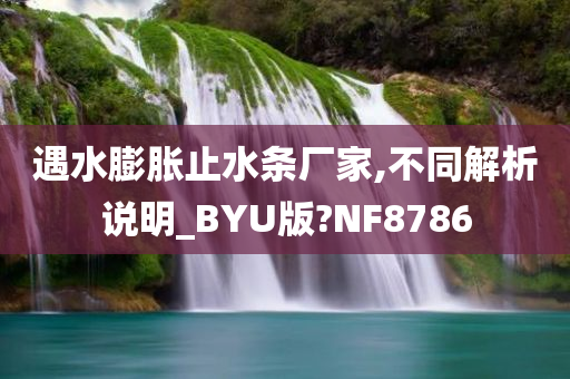 遇水膨胀止水条厂家,不同解析说明_BYU版?NF8786