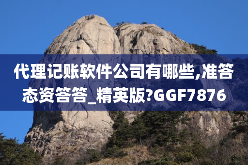 代理记账软件公司有哪些,准答态资答答_精英版?GGF7876