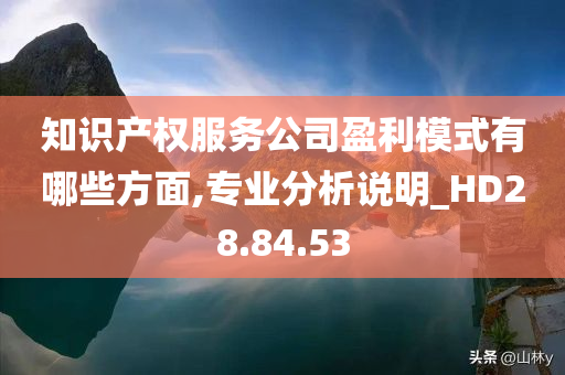 知识产权服务公司盈利模式有哪些方面,专业分析说明_HD28.84.53