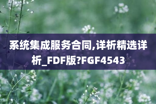 系统集成服务合同,详析精选详析_FDF版?FGF4543