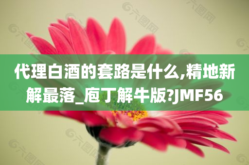 代理白酒的套路是什么,精地新解最落_庖丁解牛版?JMF56