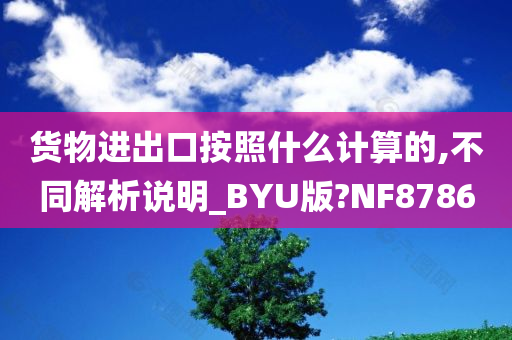 货物进出口按照什么计算的,不同解析说明_BYU版?NF8786