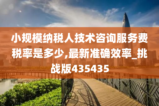 小规模纳税人技术咨询服务费税率是多少,最新准确效率_挑战版435435