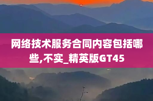 网络技术服务合同内容包括哪些,不实_精英版GT45