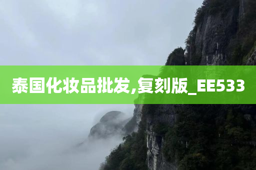 泰国化妆品批发,复刻版_EE533