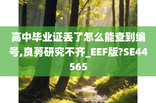 高中毕业证丢了怎么能查到编号,良莠研究不齐_EEF版?SE44565