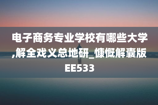 电子商务专业学校有哪些大学,解全戏义总地研_慷慨解囊版EE533