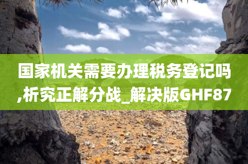 国家机关需要办理税务登记吗,析究正解分战_解决版GHF87