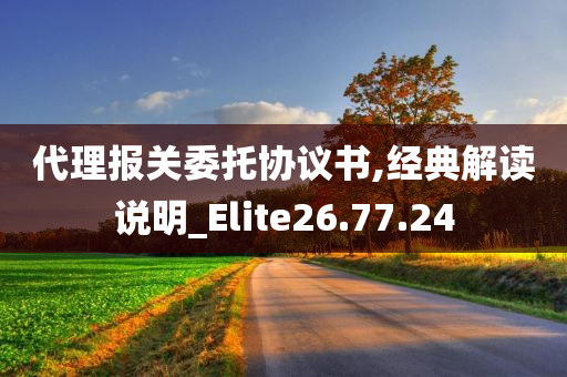 代理报关委托协议书,经典解读说明_Elite26.77.24