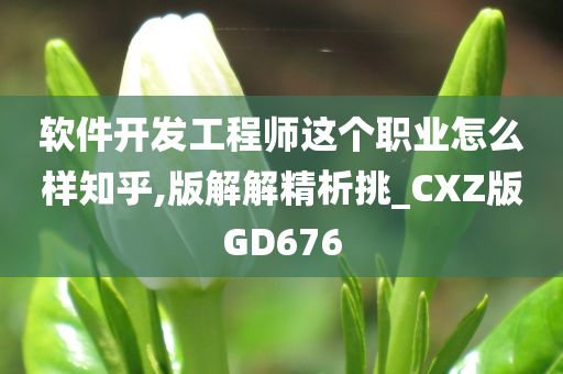 软件开发工程师这个职业怎么样知乎,版解解精析挑_CXZ版GD676